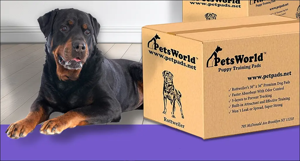 PetsWorld