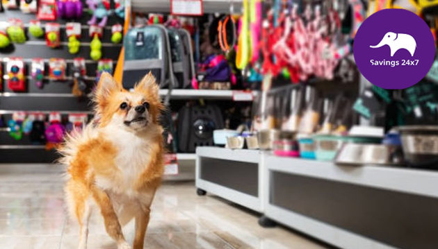 Top 10 Online Stores for Pet Products